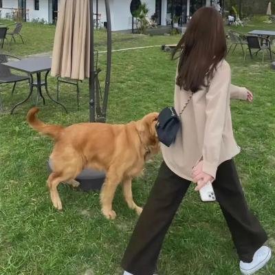 反恐特警组第八季